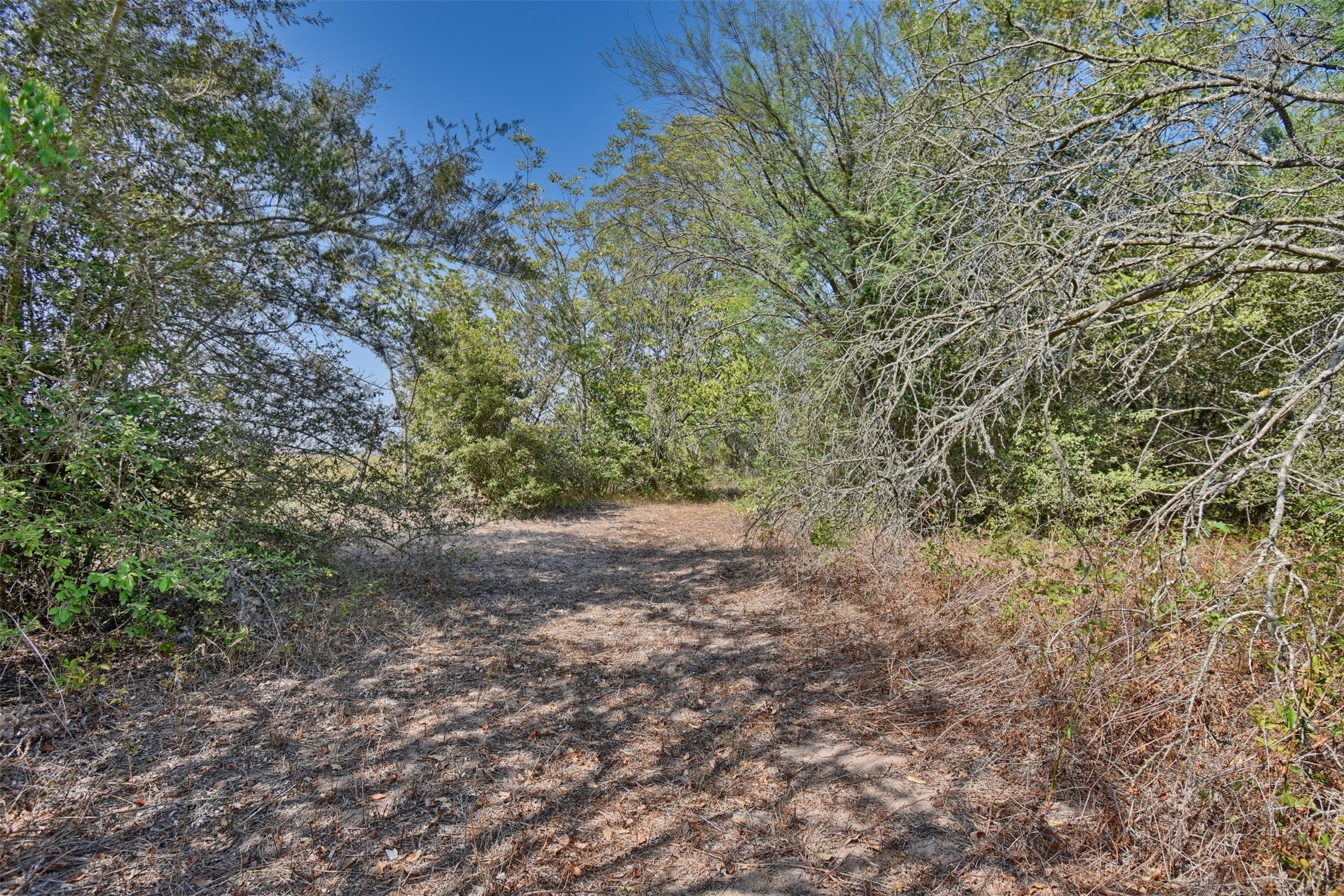 1348 Grubbs Road Sealy, TX 77474 - Photo 7 of 8