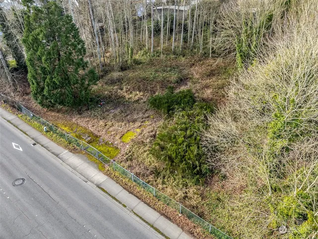 a view of a garden with plants