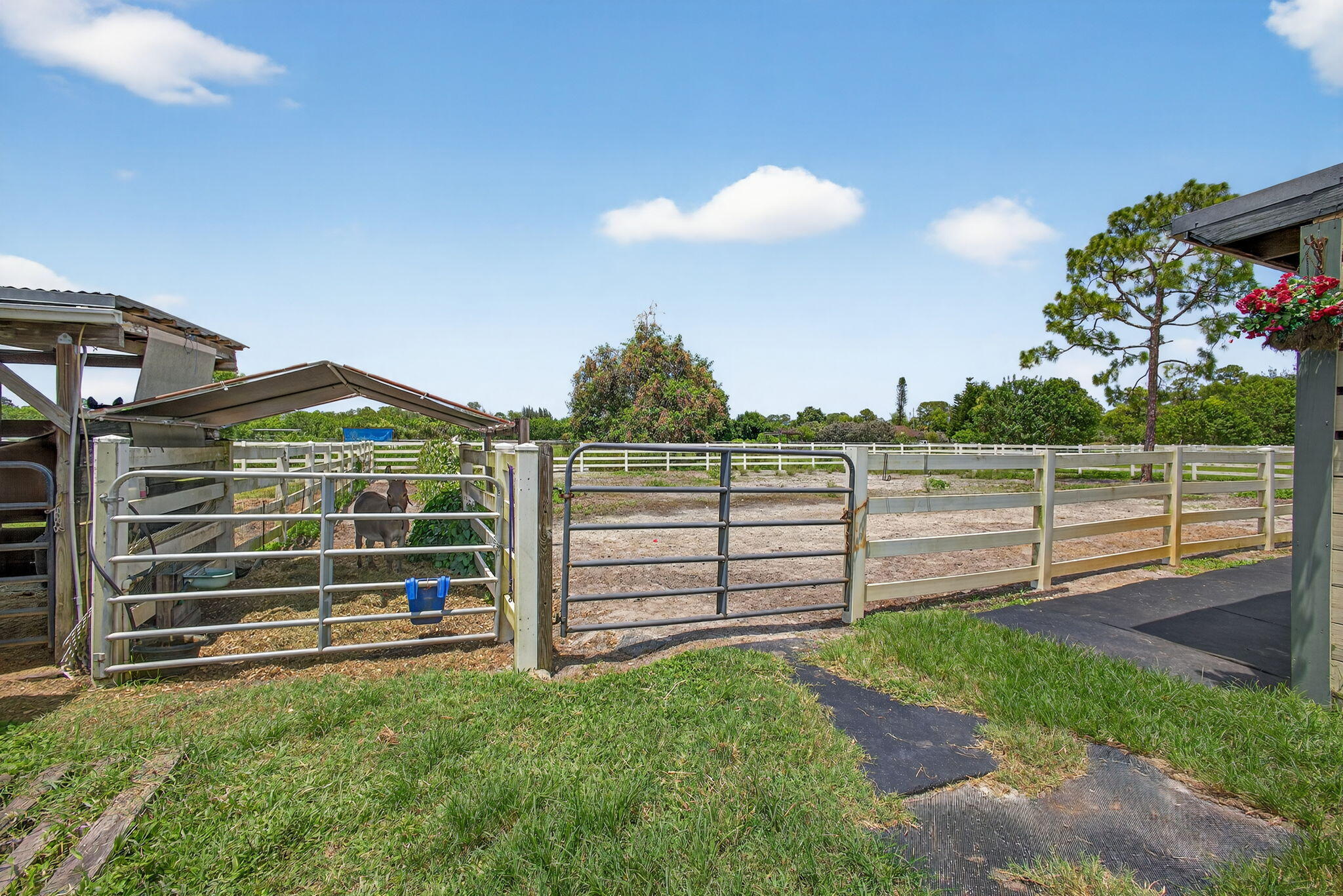 14095 Biddex Road Loxahatchee Groves, FL 33470 - Photo 16 of 60 65-web-or-mls-BS1A5032