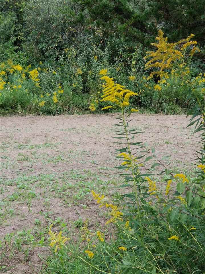 Parcel #1 Parcel Road Comstock Park, MI 49321 - Photo 9 of 24