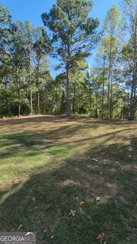a view of yard with large trees
