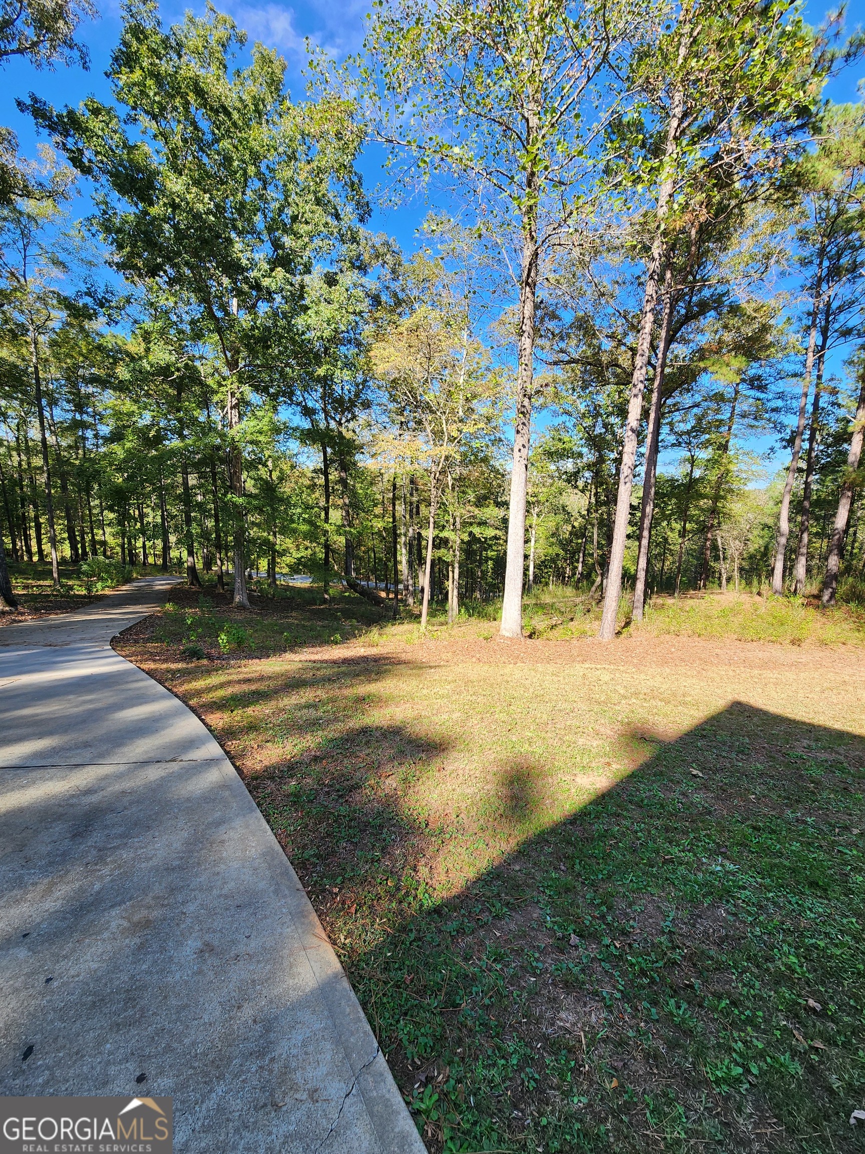 249 Serenity Loop Cataula, GA 31804 - Photo 44 of 44 a view of yard with large trees