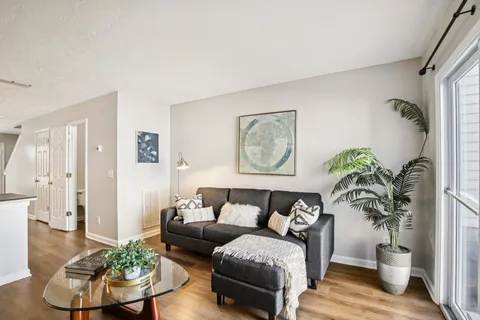 a living room with furniture and a potted plant