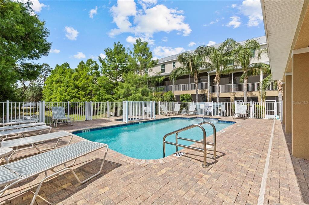 800 Callista Cay Loop Tarpon Springs, FL 34689 - Photo 34 of 36 a view of a swimming pool with a patio and a yard