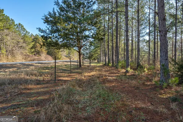 a view of dirt field with trees