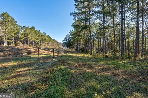 a view of a yard with trees