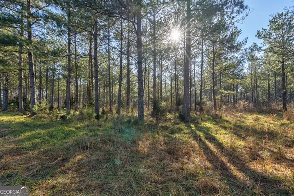 a view of backyard with green space