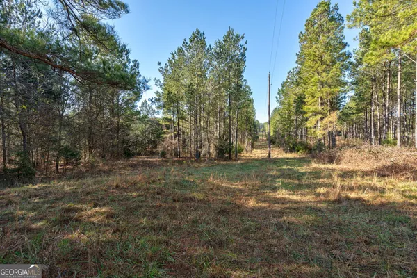 a view of a yard with trees