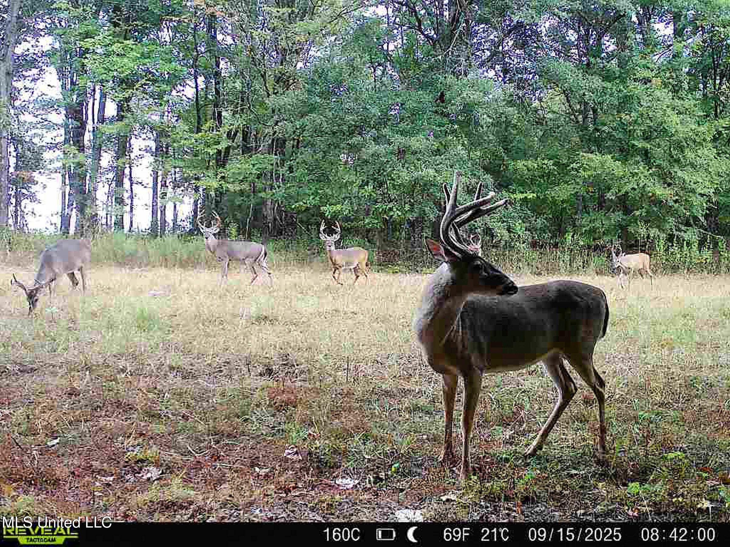 six bucks on the 160