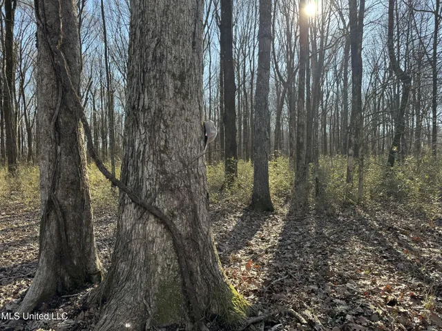 $625,000 | Curtis Road, Batesville, MS 38606