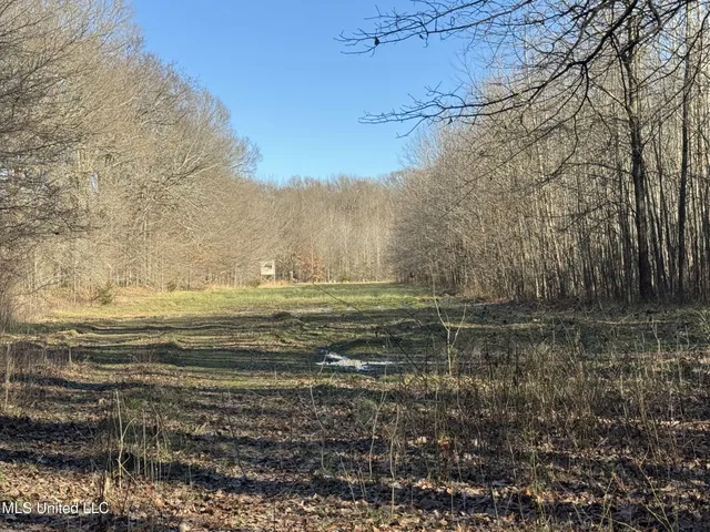 $625,000 | Curtis Road, Batesville, MS 38606