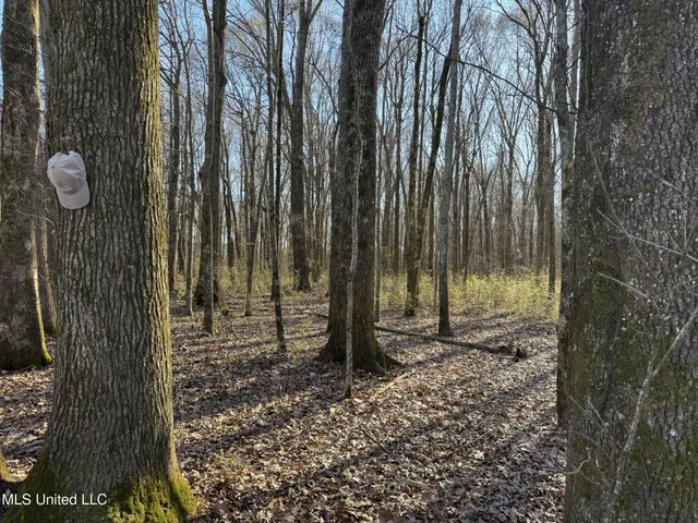 $625,000 | Curtis Road, Batesville, MS 38606