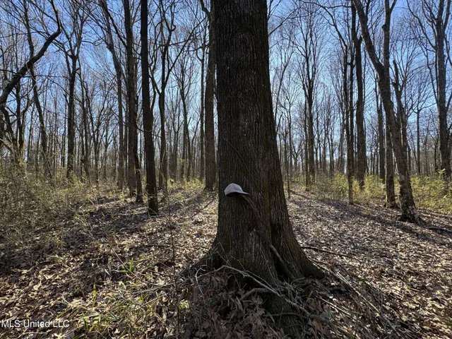 $625,000 | Curtis Road, Batesville, MS 38606