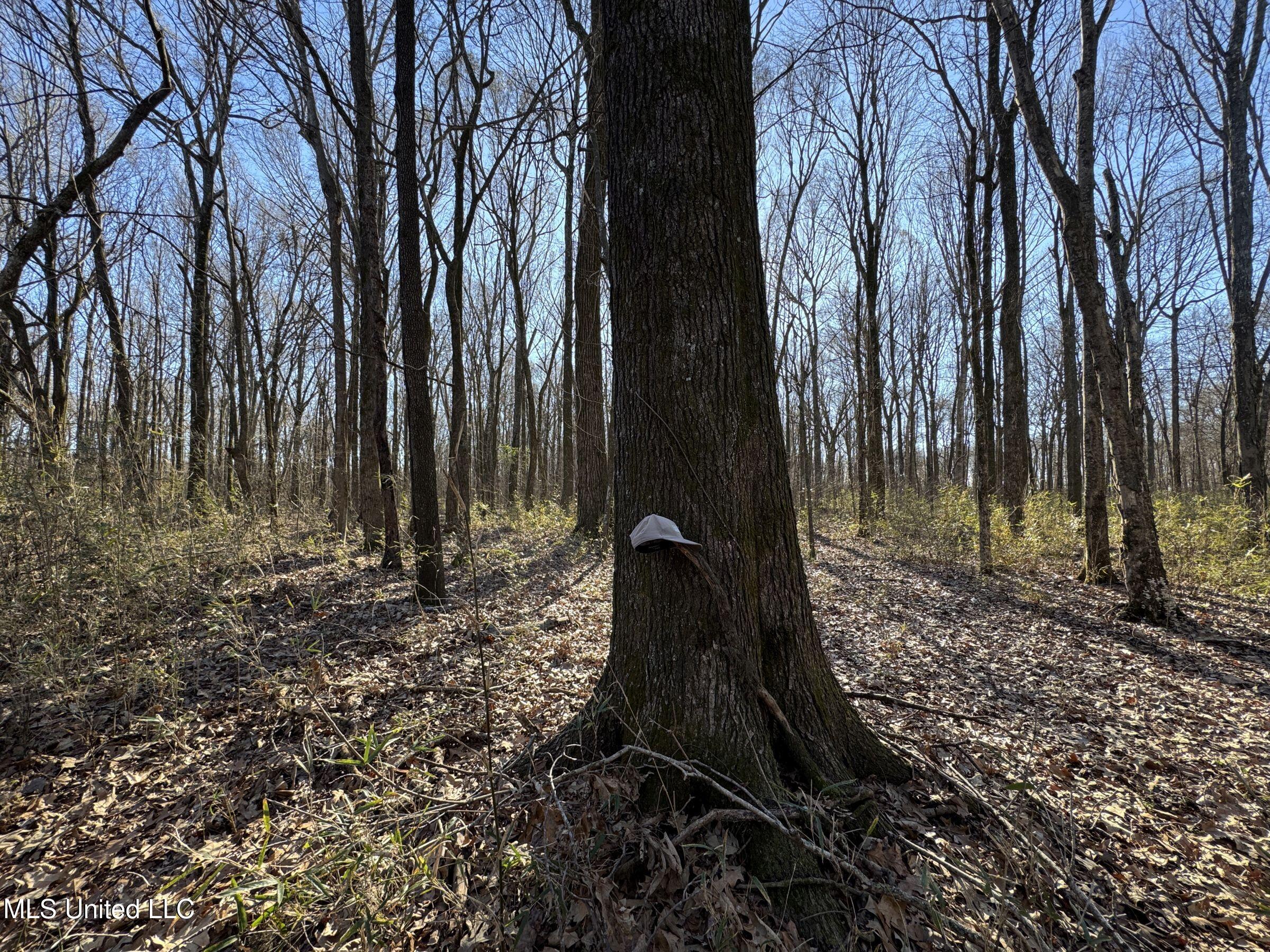 Curtis Road Batesville, MS 38606 - Photo 104 of 157 5sprgctrs48
