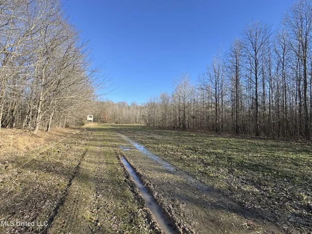 $625,000 | Curtis Road, Batesville, MS 38606
