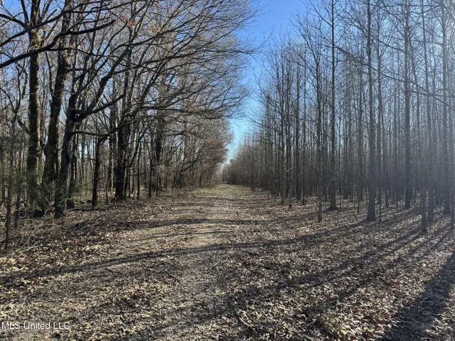 $625,000 | Curtis Road, Batesville, MS 38606