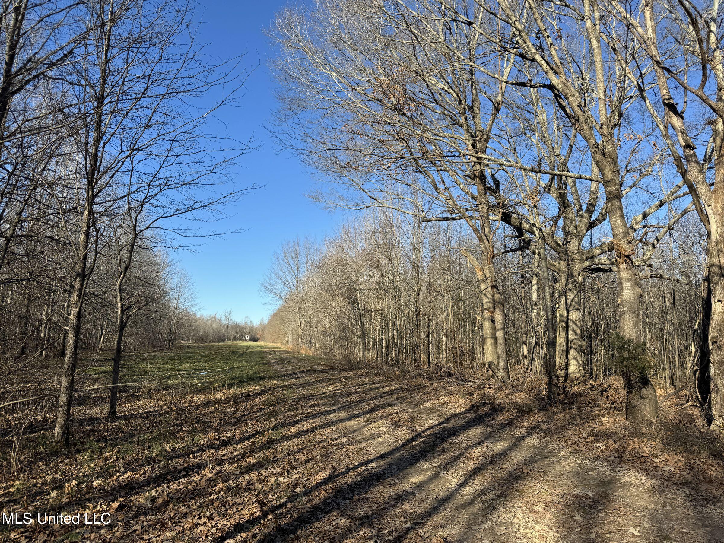 Curtis Road Batesville, MS 38606 - Photo 107 of 157 5sprgctrs52