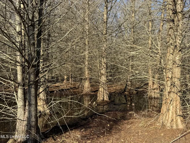 $625,000 | Curtis Road, Batesville, MS 38606