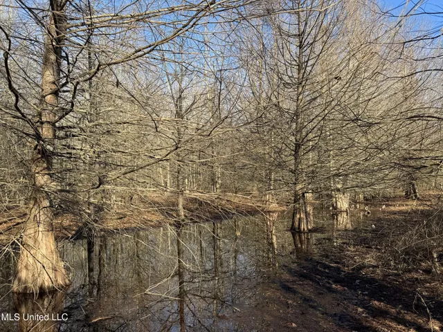 $625,000 | Curtis Road, Batesville, MS 38606