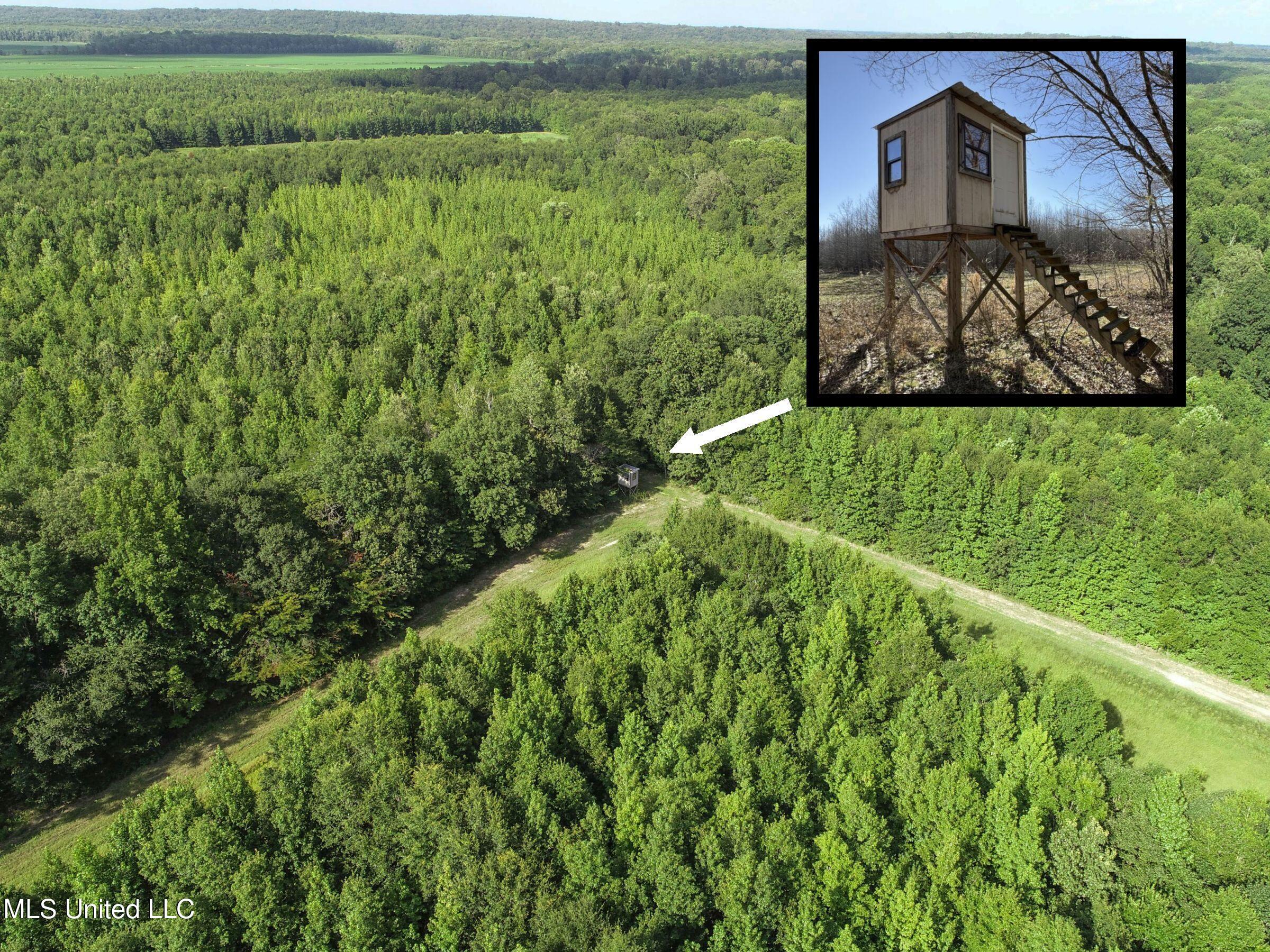 Curtis Road Batesville, MS 38606 - Photo 11 of 157 7sprgctrs37b