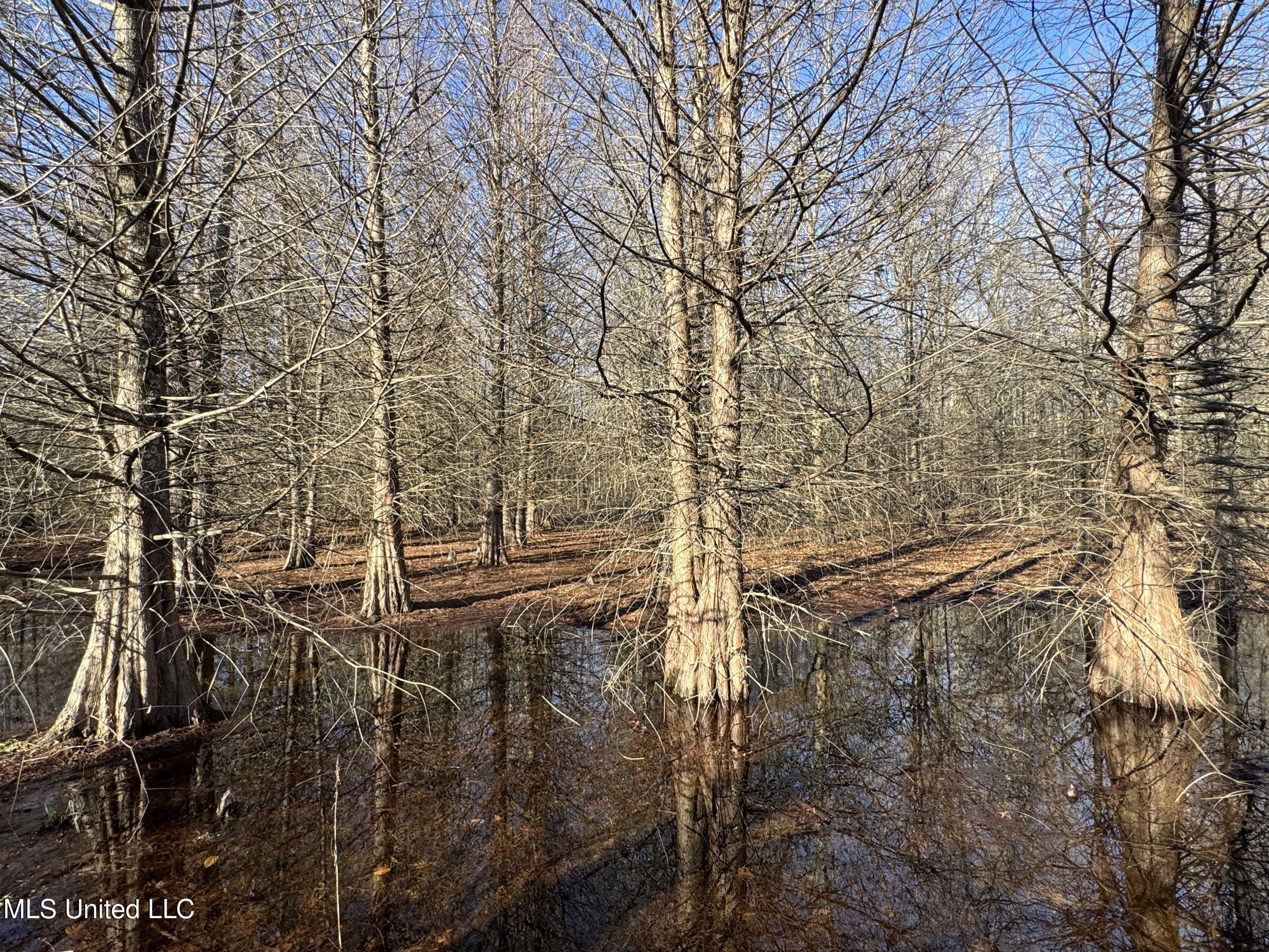 Curtis Road Batesville, MS 38606 - Photo 111 of 157 5sprgctrs56