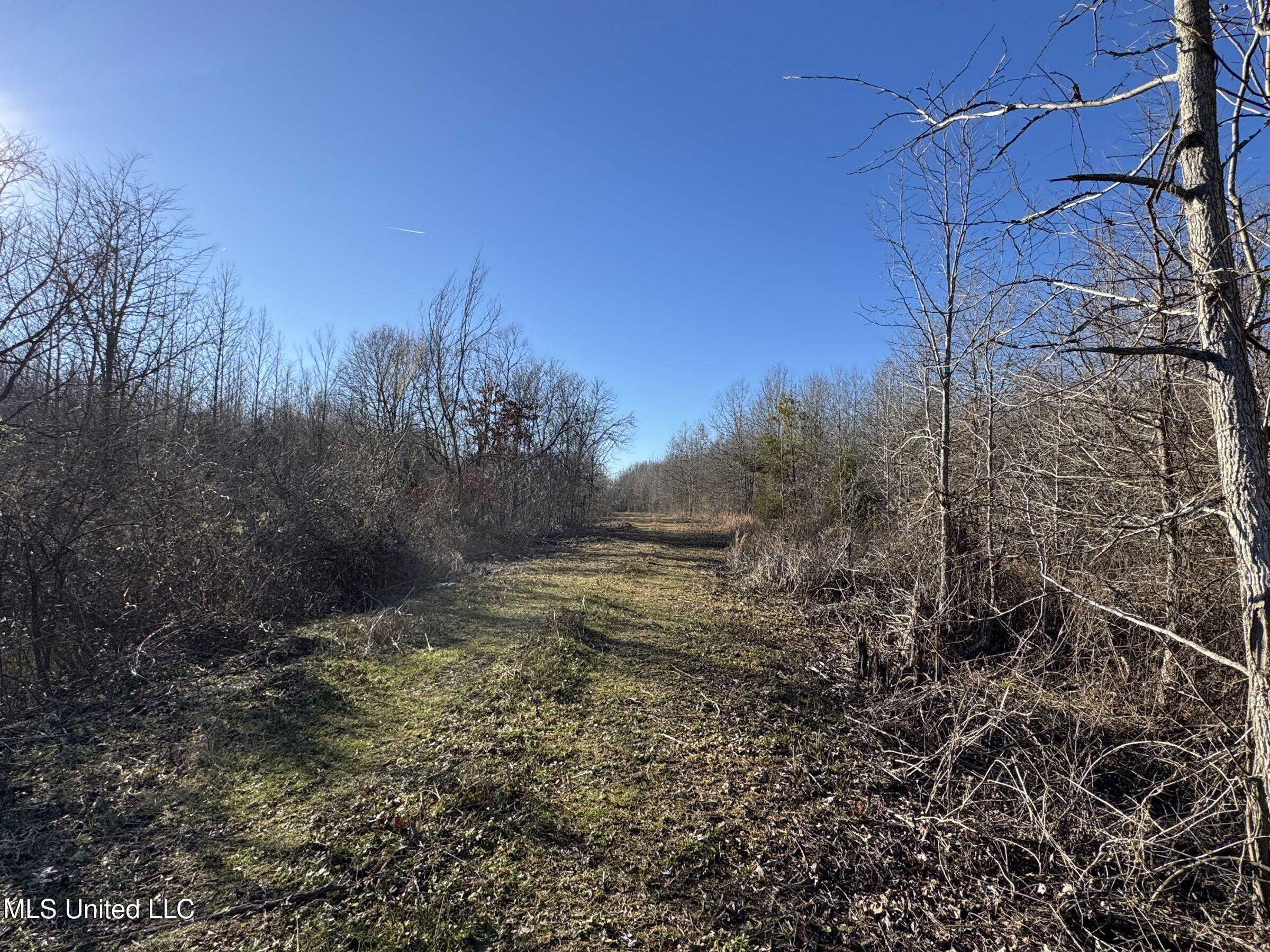 Curtis Road Batesville, MS 38606 - Photo 112 of 157 5sprgctrs57