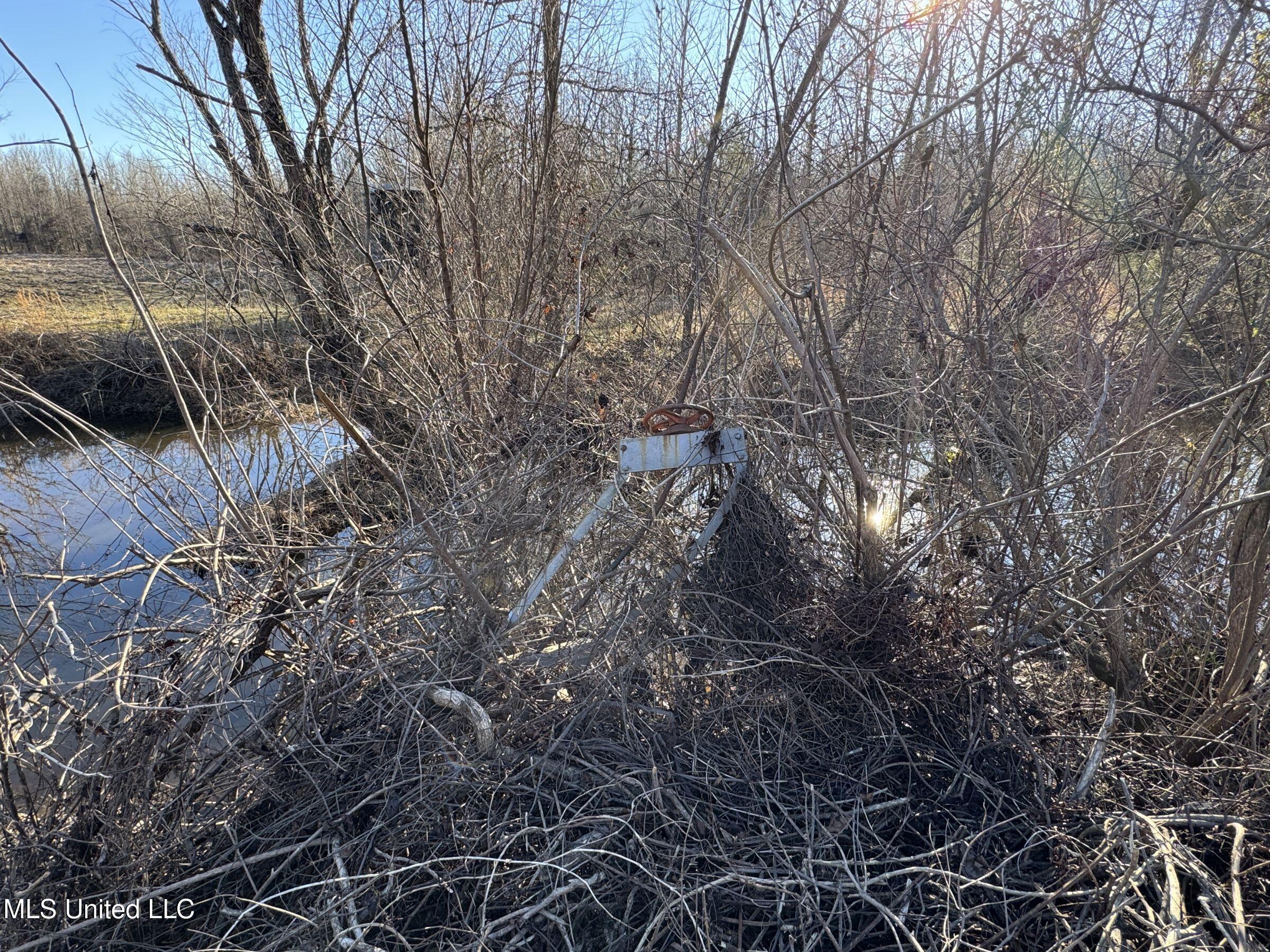 Curtis Road Batesville, MS 38606 - Photo 113 of 157 5sprgctrs58