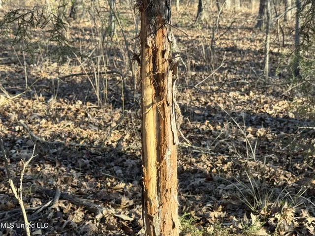 $625,000 | Curtis Road, Batesville, MS 38606