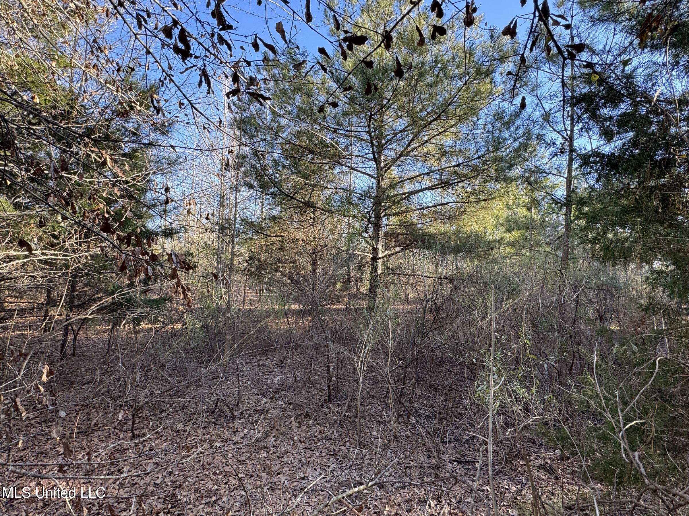 Curtis Road Batesville, MS 38606 - Photo 115 of 157 5sprgctrs62