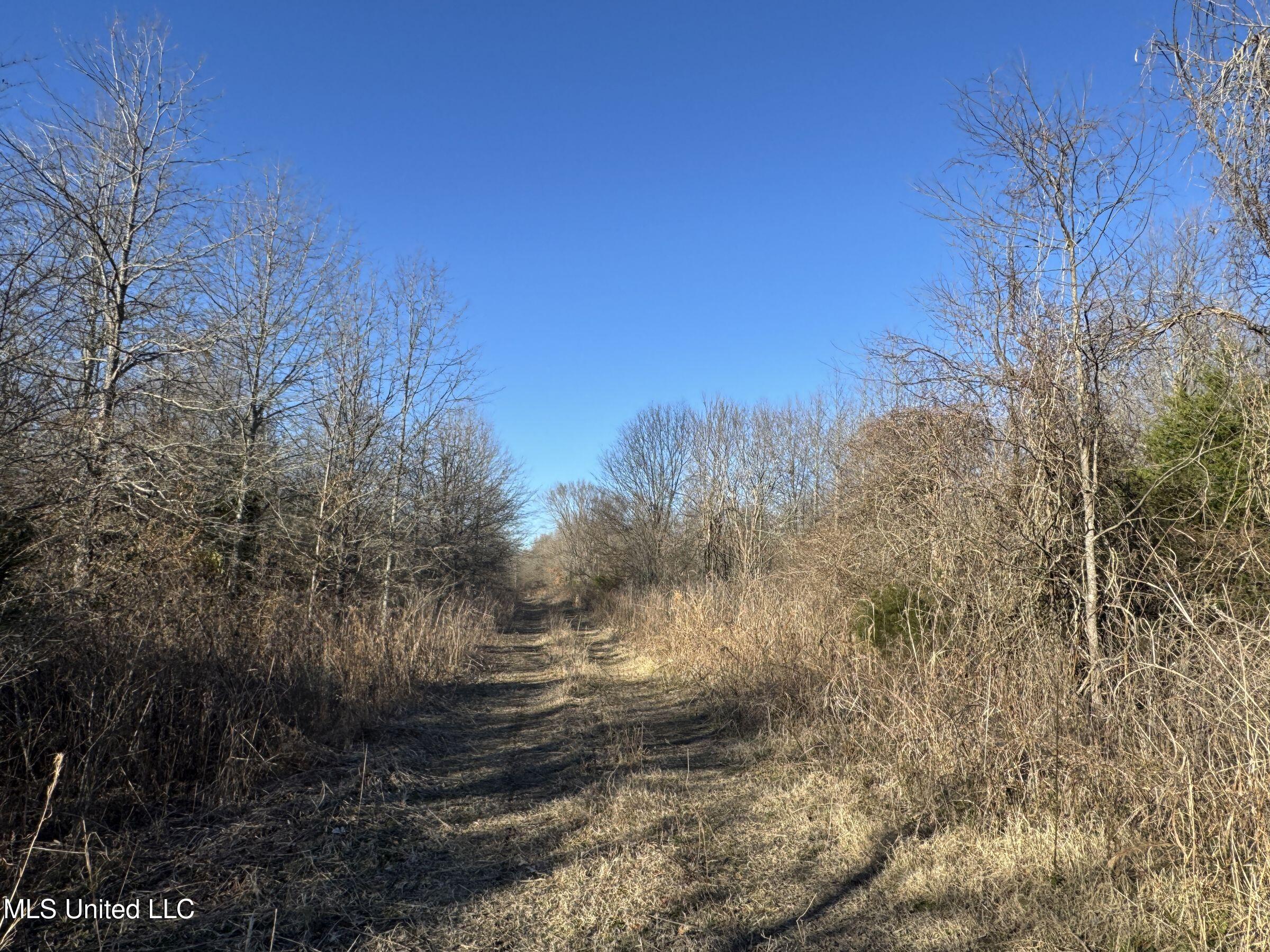 Curtis Road Batesville, MS 38606 - Photo 116 of 157 5sprgctrs63