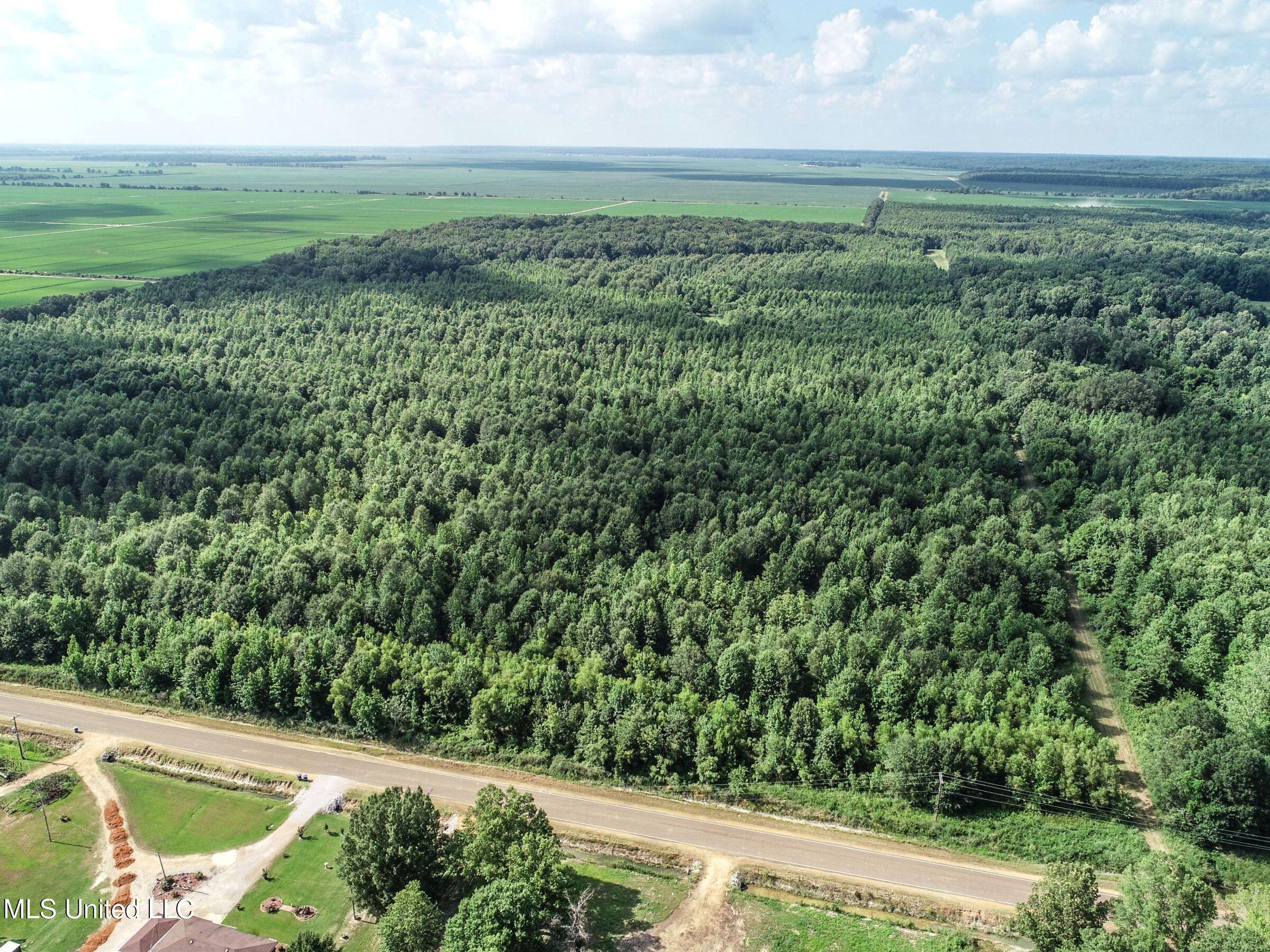 Curtis Road Batesville, MS 38606 - Photo 117 of 157 7sprgctrs1