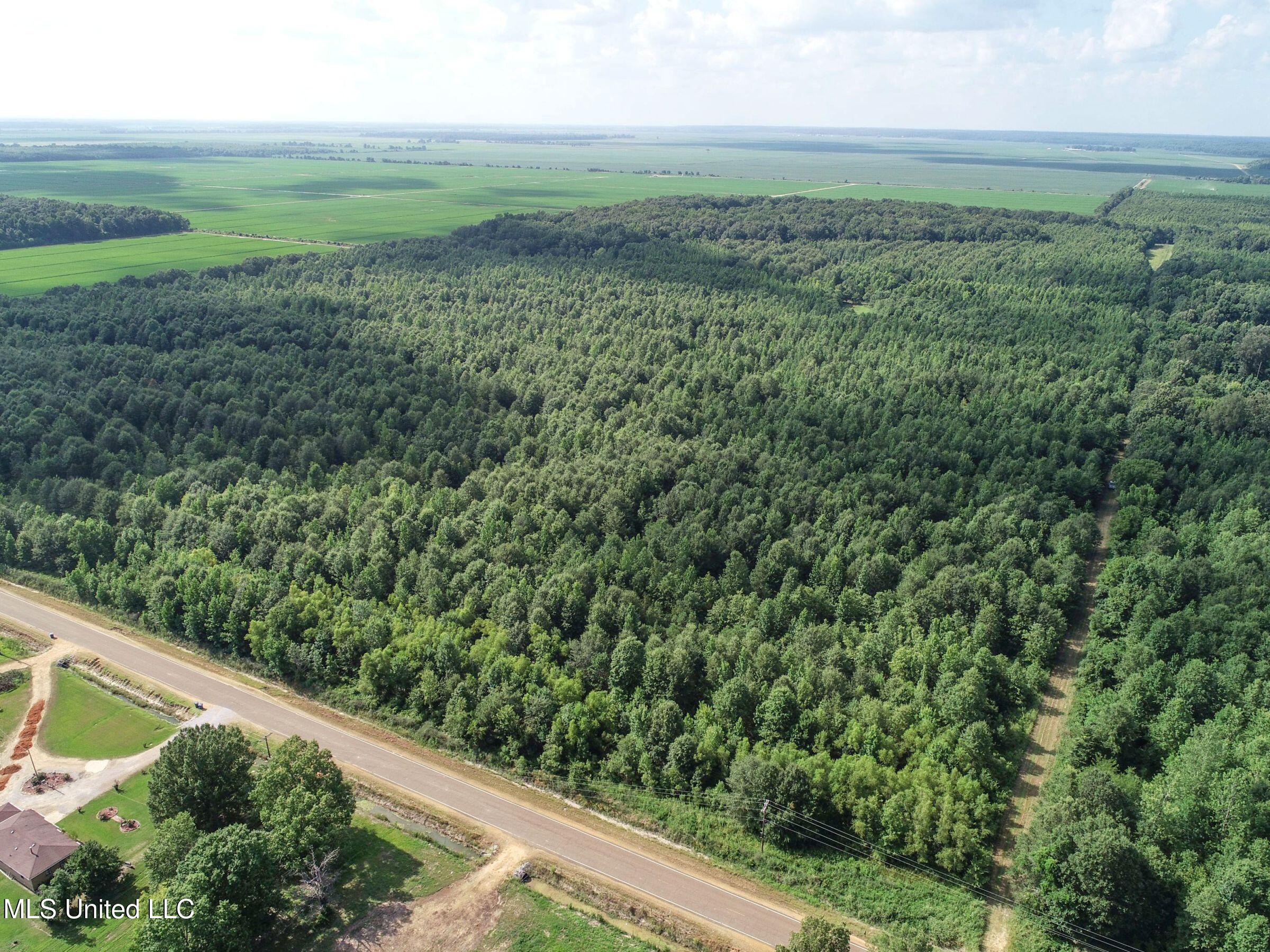 Curtis Road Batesville, MS 38606 - Photo 118 of 157 7sprgctrs2