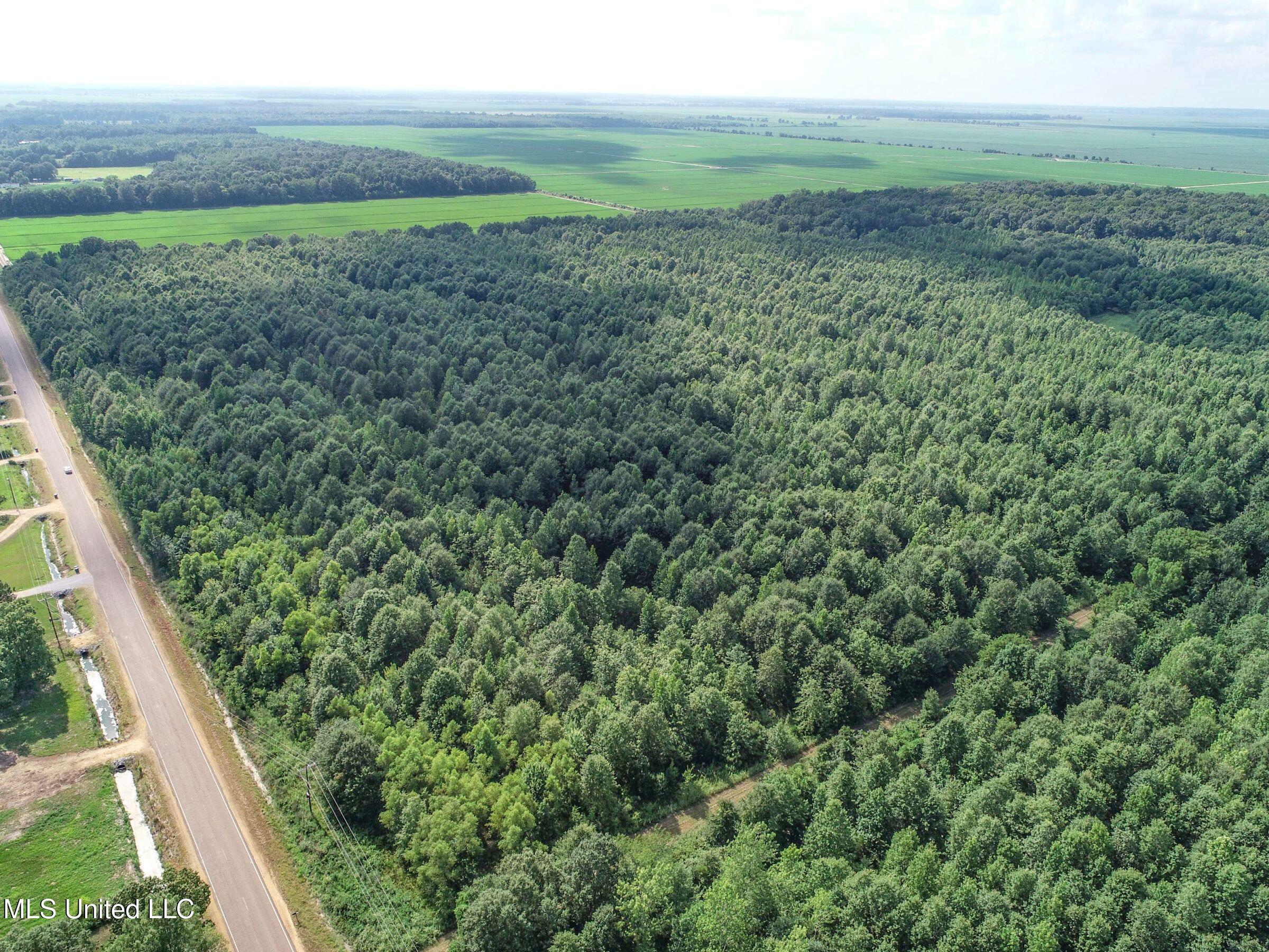 Curtis Road Batesville, MS 38606 - Photo 119 of 157 7sprgctrs3