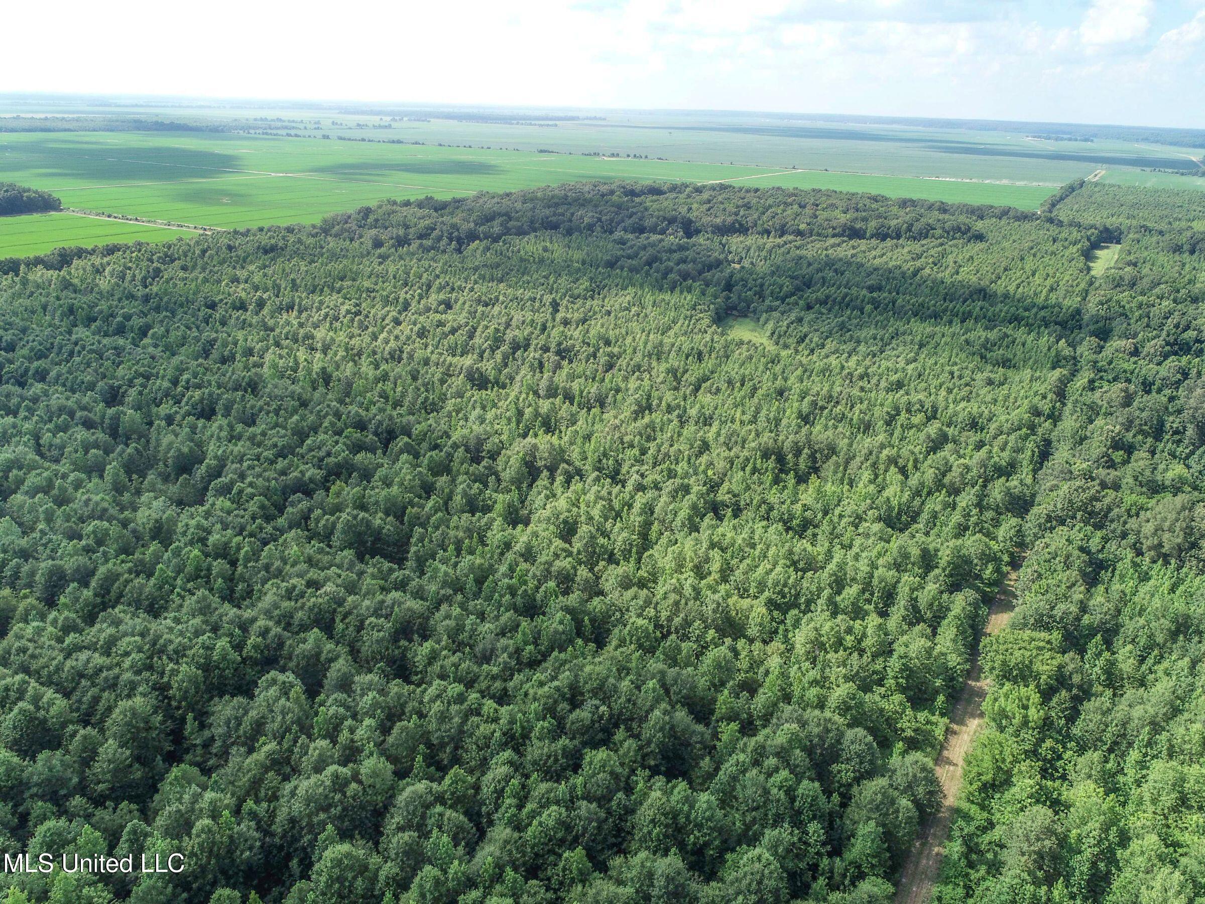 Curtis Road Batesville, MS 38606 - Photo 120 of 157 7sprgctrs4