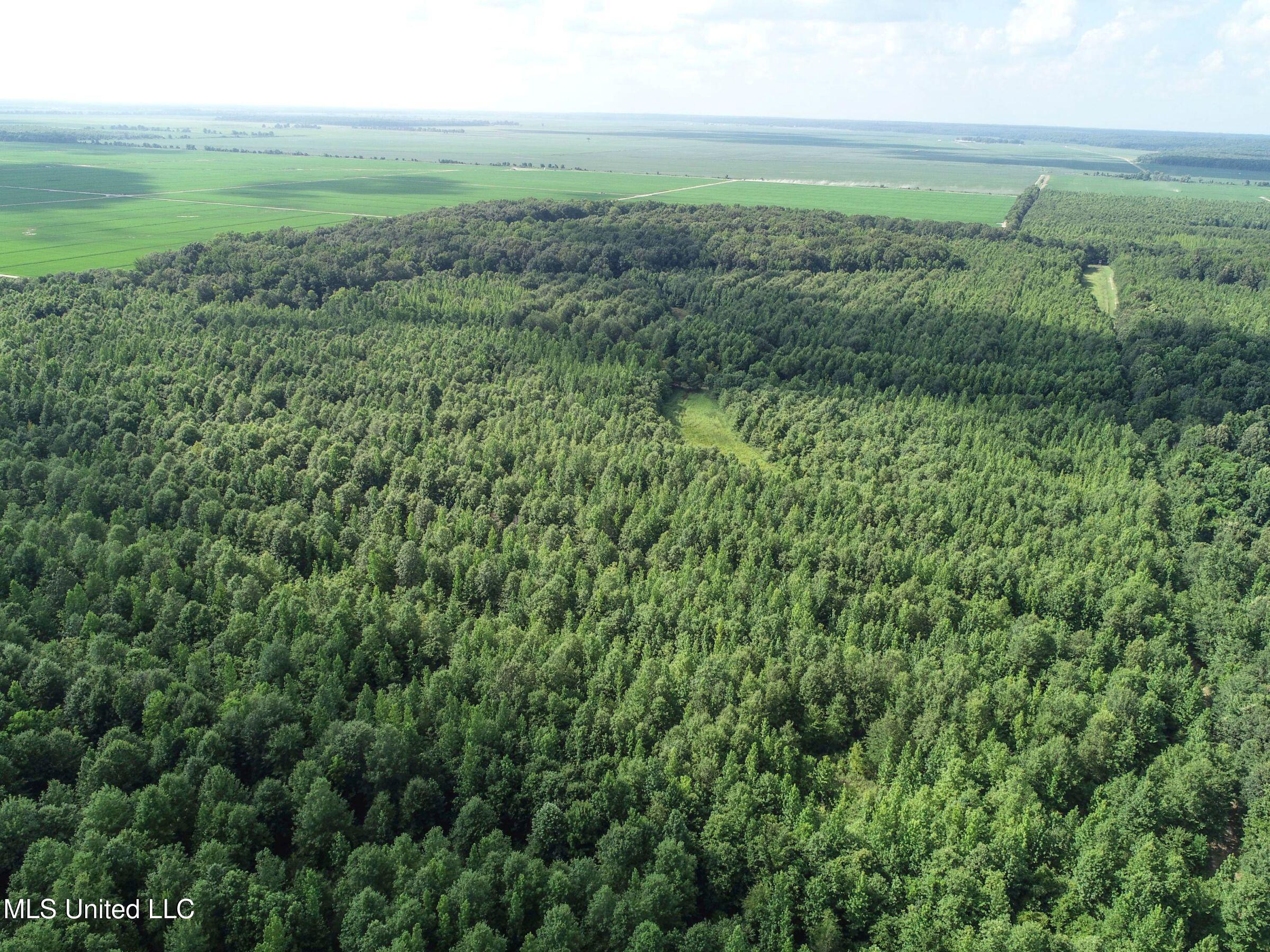 Curtis Road Batesville, MS 38606 - Photo 121 of 157 7sprgctrs5