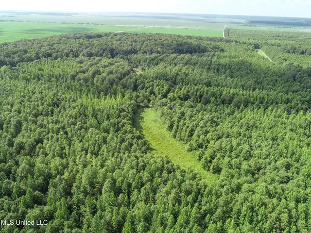 $625,000 | Curtis Road, Batesville, MS 38606