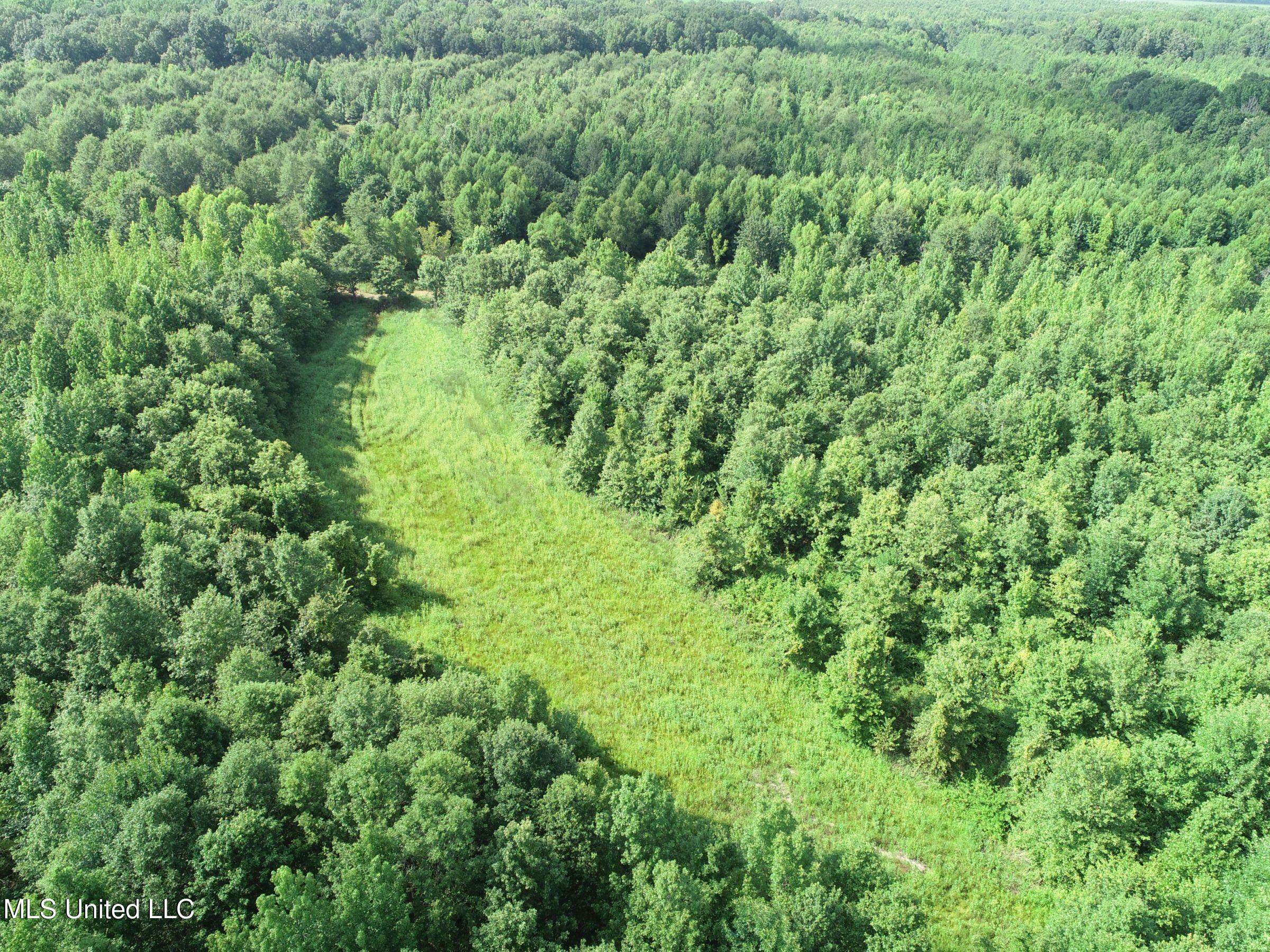 Curtis Road Batesville, MS 38606 - Photo 123 of 157 7sprgctrs7