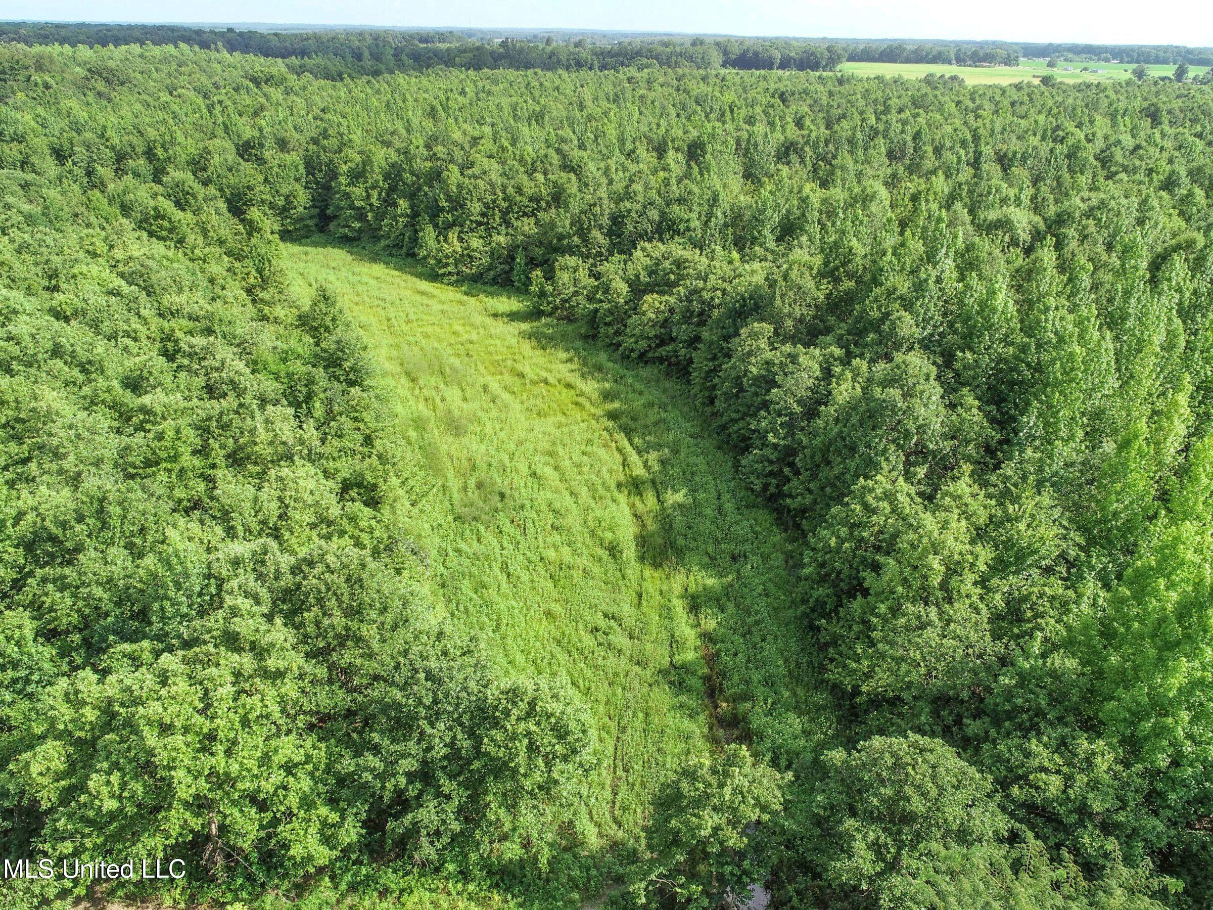 Curtis Road Batesville, MS 38606 - Photo 124 of 157 7sprgctrs8