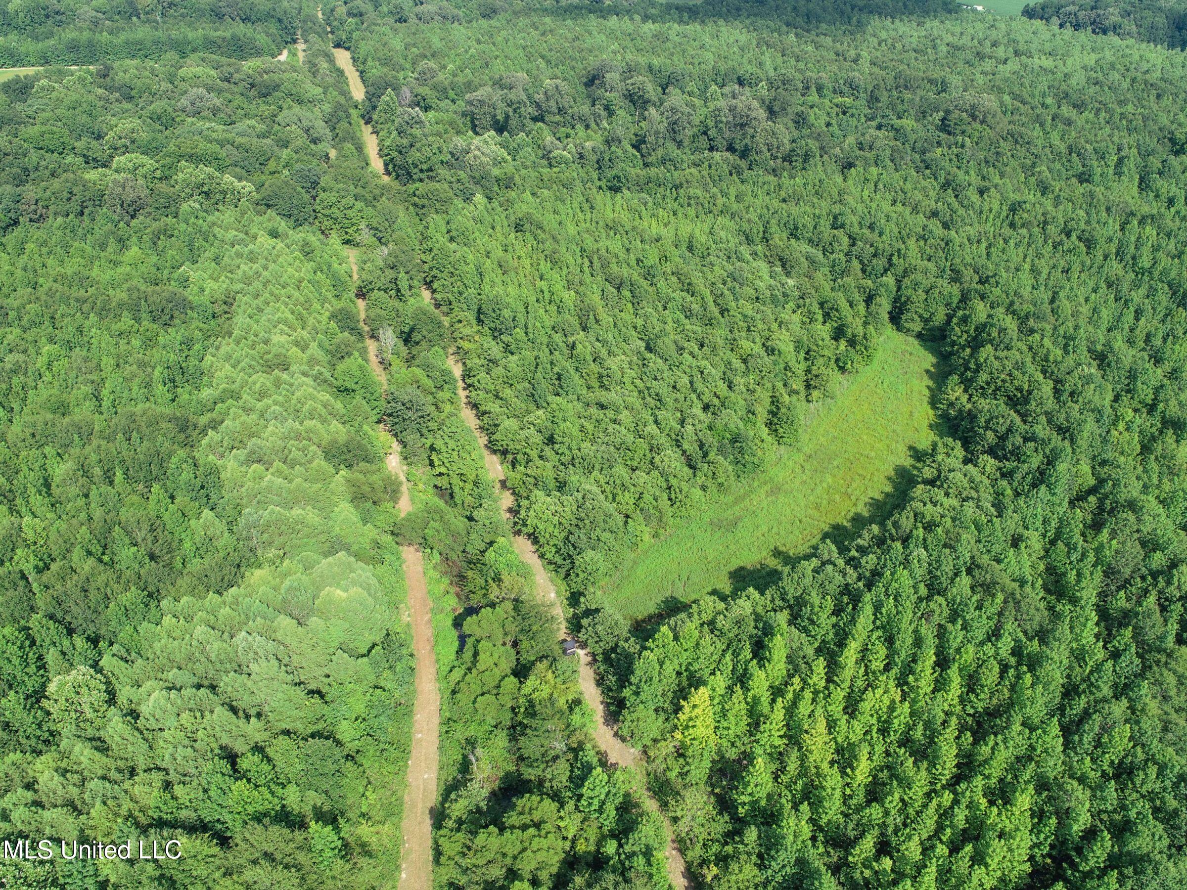 Curtis Road Batesville, MS 38606 - Photo 125 of 157 7sprgctrs9