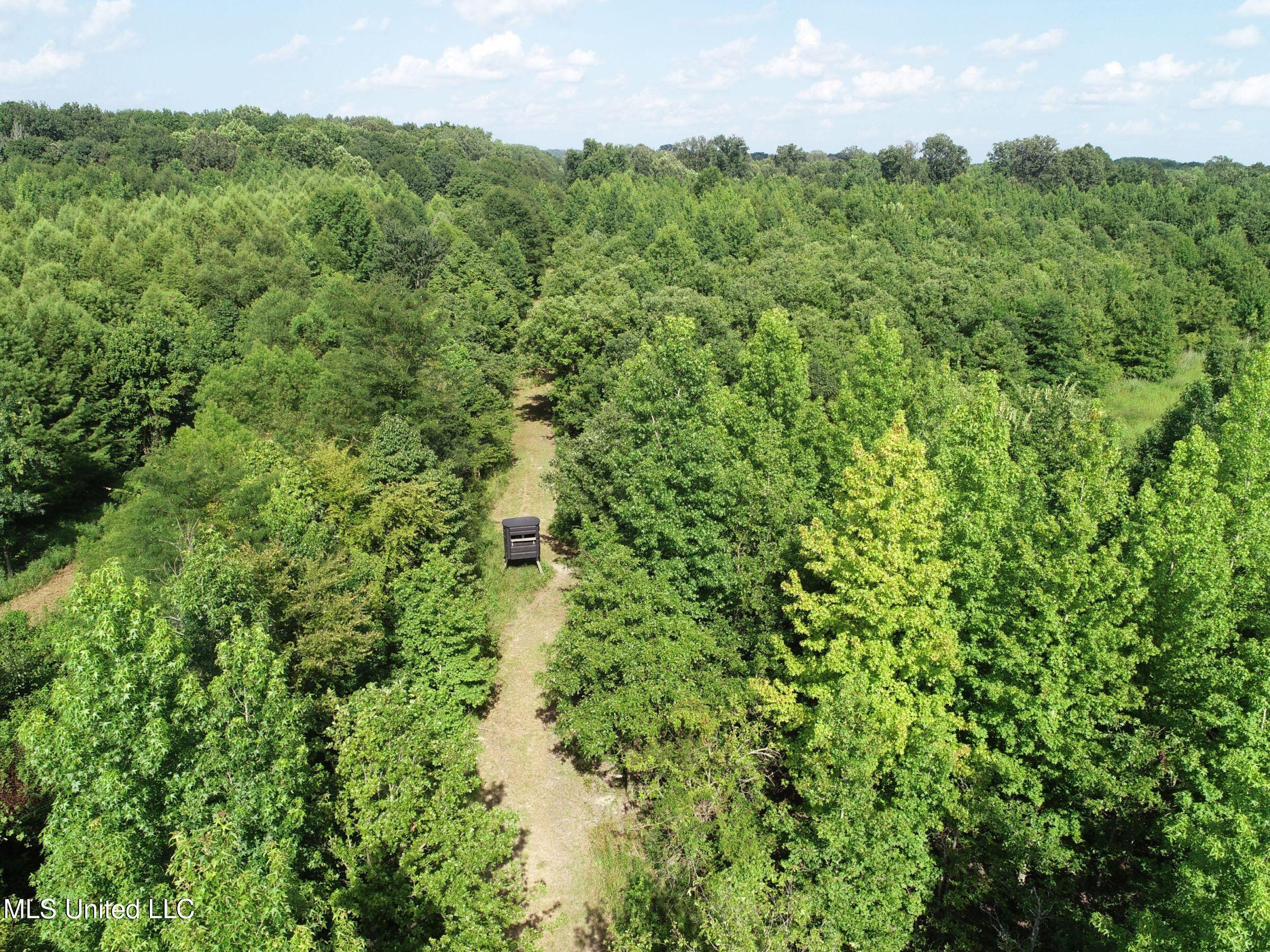 Curtis Road Batesville, MS 38606 - Photo 128 of 157 7sprgctrs12