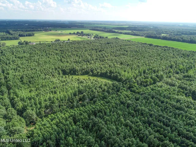 $625,000 | Curtis Road, Batesville, MS 38606