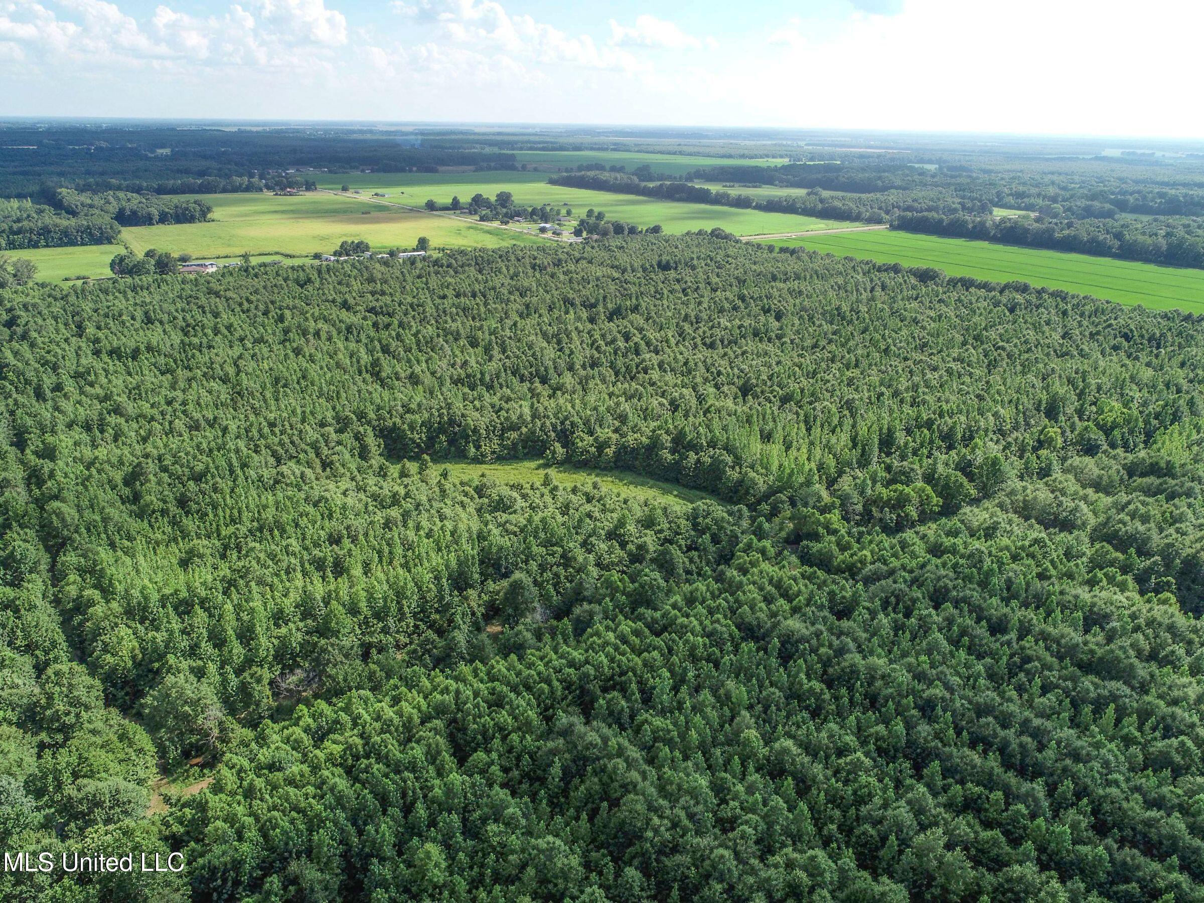 Curtis Road Batesville, MS 38606 - Photo 129 of 157 7sprgctrs13