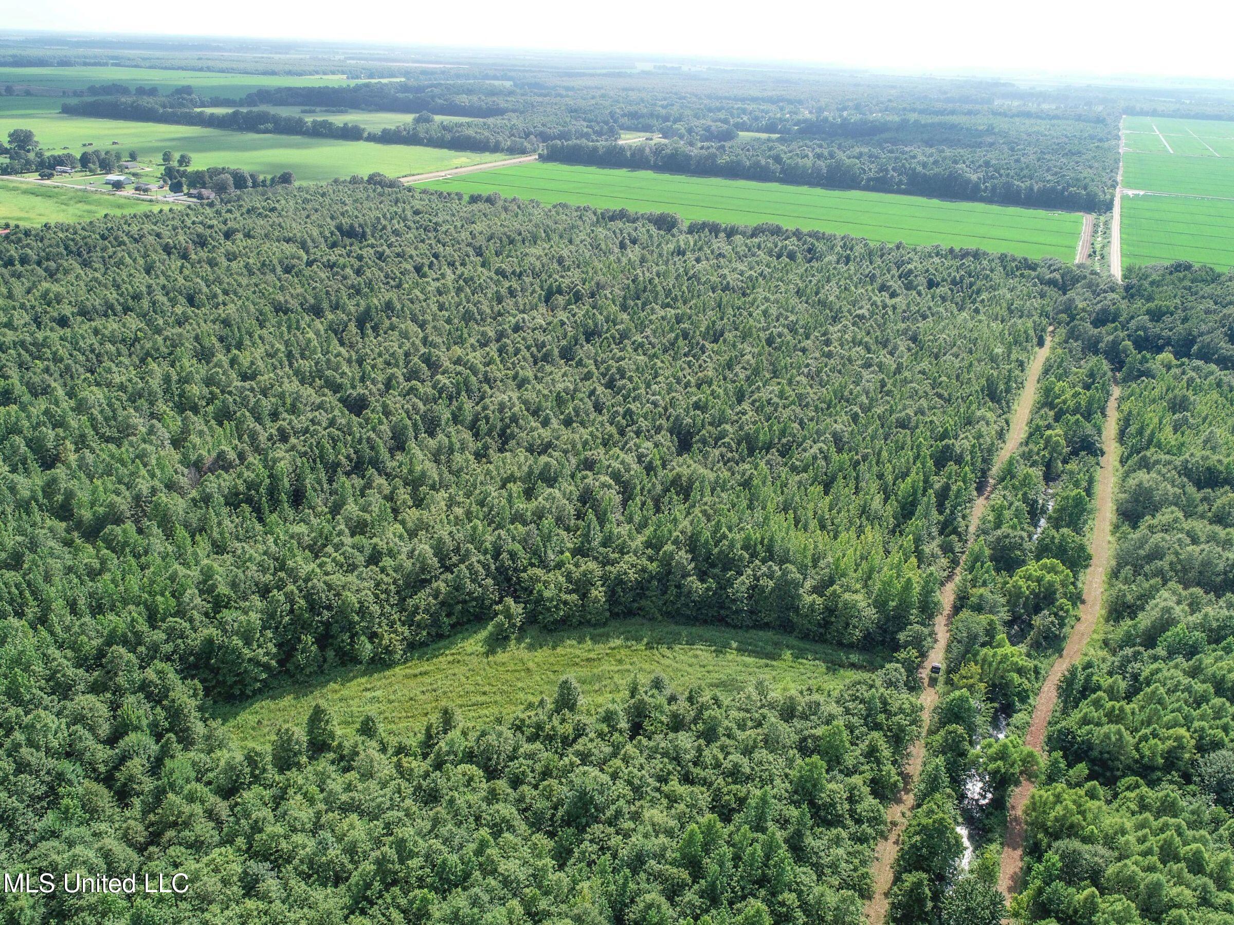 Curtis Road Batesville, MS 38606 - Photo 130 of 157 7sprgctrs14