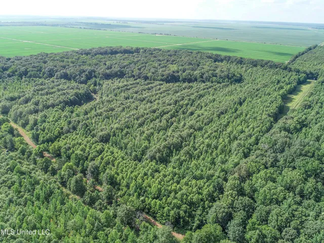 $625,000 | Curtis Road, Batesville, MS 38606