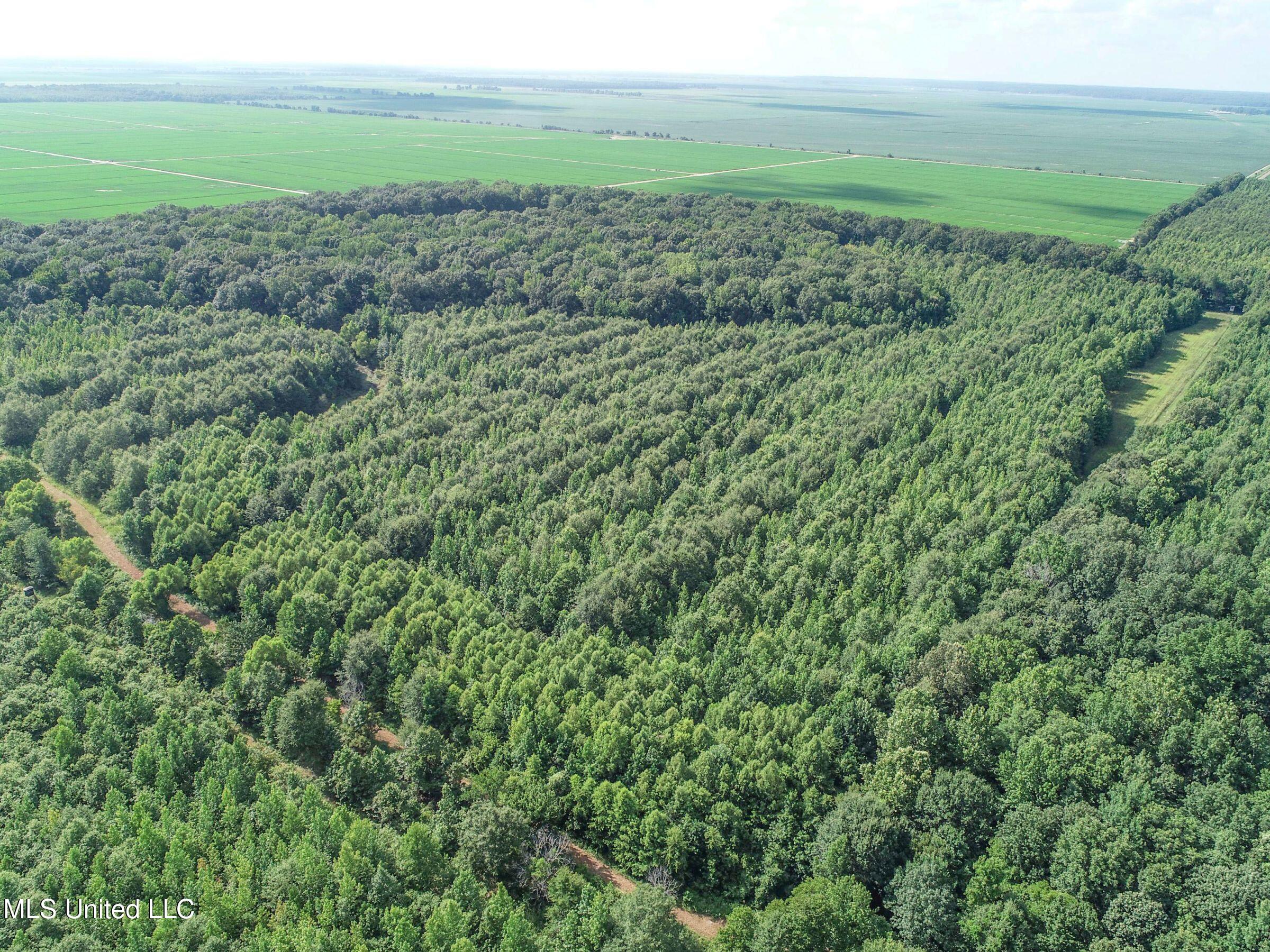 Curtis Road Batesville, MS 38606 - Photo 131 of 157 7sprgctrs15