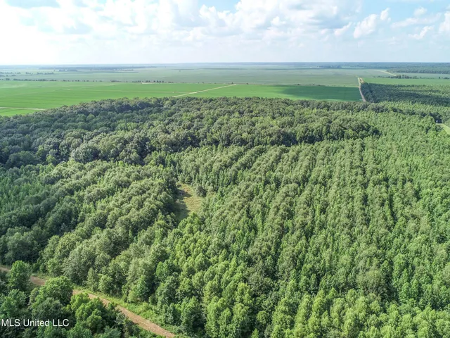 $625,000 | Curtis Road, Batesville, MS 38606