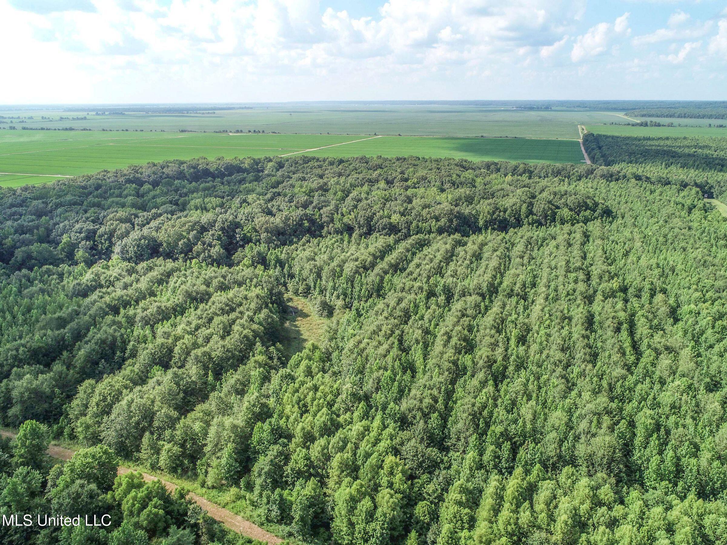 Curtis Road Batesville, MS 38606 - Photo 133 of 157 7sprgctrs17