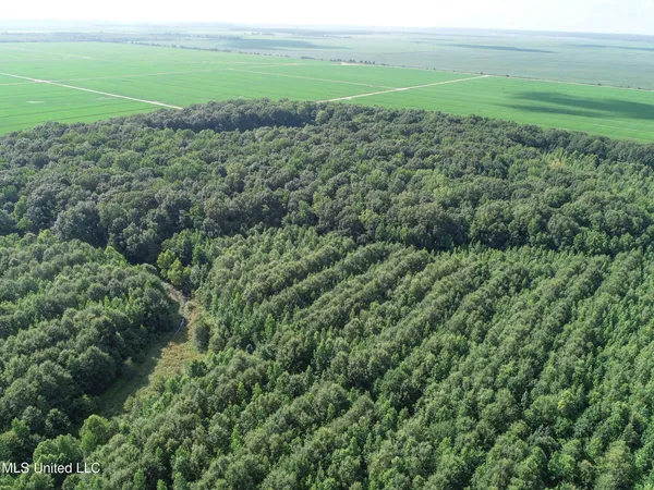$625,000 | Curtis Road, Batesville, MS 38606