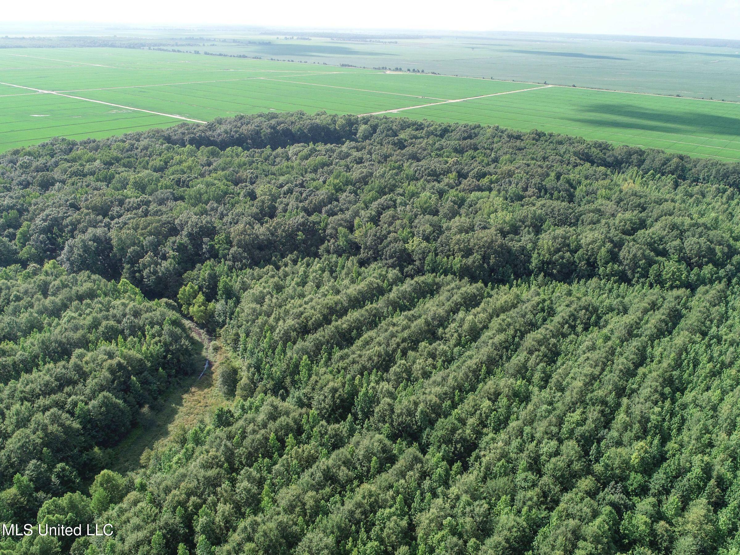 Curtis Road Batesville, MS 38606 - Photo 134 of 157 7sprgctrs18