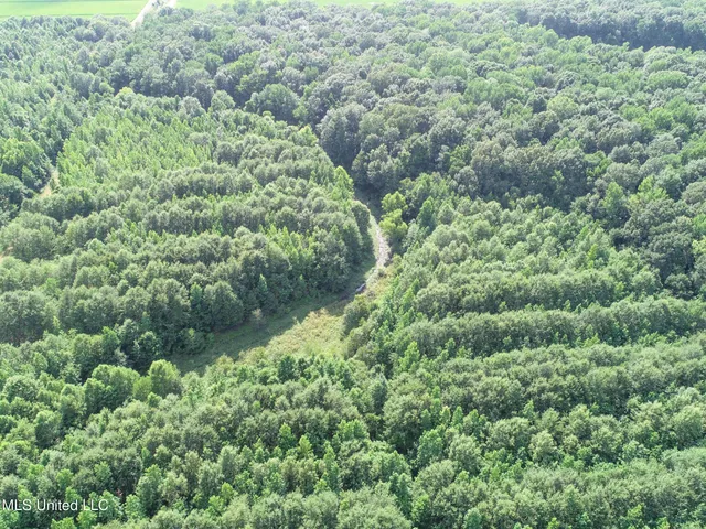 $625,000 | Curtis Road, Batesville, MS 38606